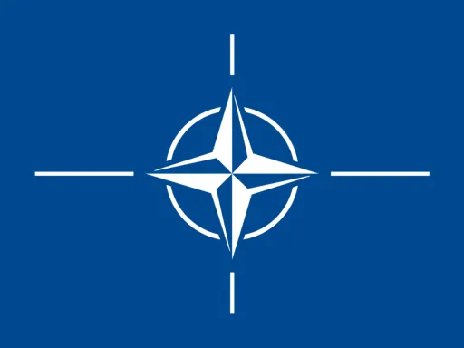 Яку організацію представляє цей прапор?